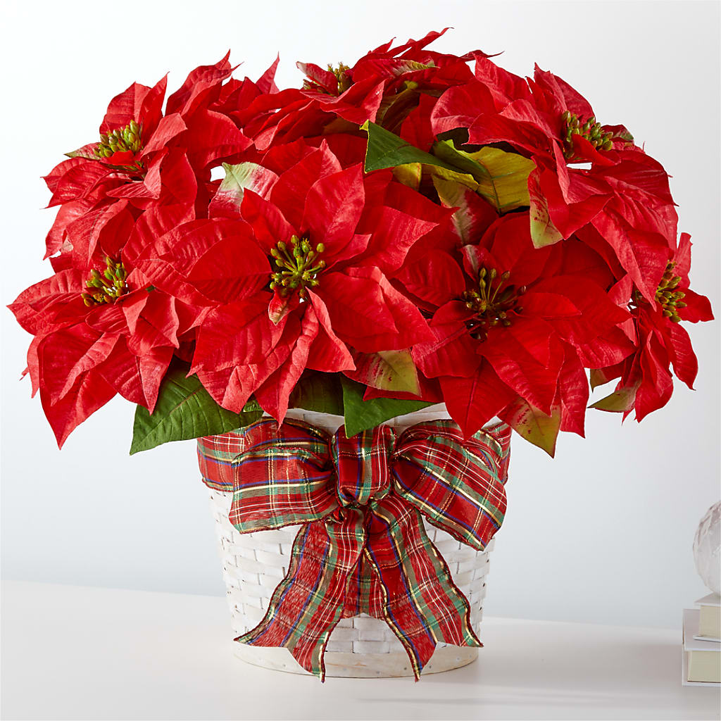Happiest Holidays Poinsettia – Flowers From The Heart Auburn, Auburn MI