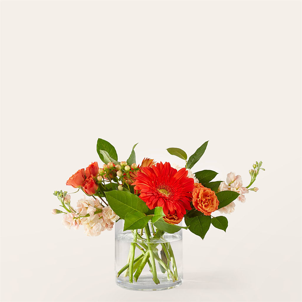 Paloma Please Bouquet – Flowers From The Heart Auburn, Auburn MI
