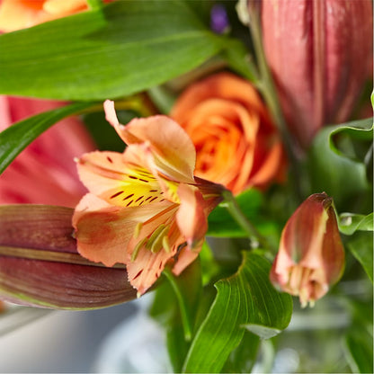 Bold & Bright – A Florist Original –  Flowers From The Heart Auburn, Auburn MI