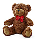 Adorable Plush Bear –  Flowers From The Heart Auburn, Auburn MI