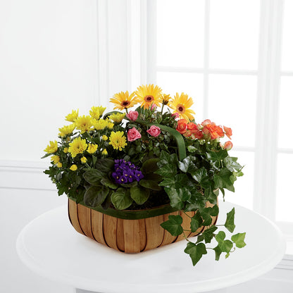 Gentle Blossoms Basket –  Flowers From The Heart Auburn, Auburn MI