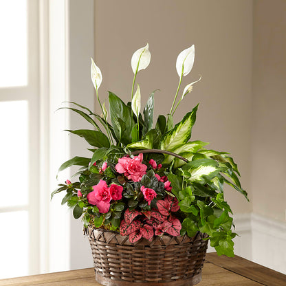 Dream in Pink Dishgarden –  Flowers From The Heart Auburn, Auburn MI
