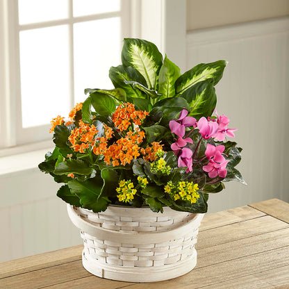 Color Crush Dishgarden –  Flowers From The Heart Auburn, Auburn MI