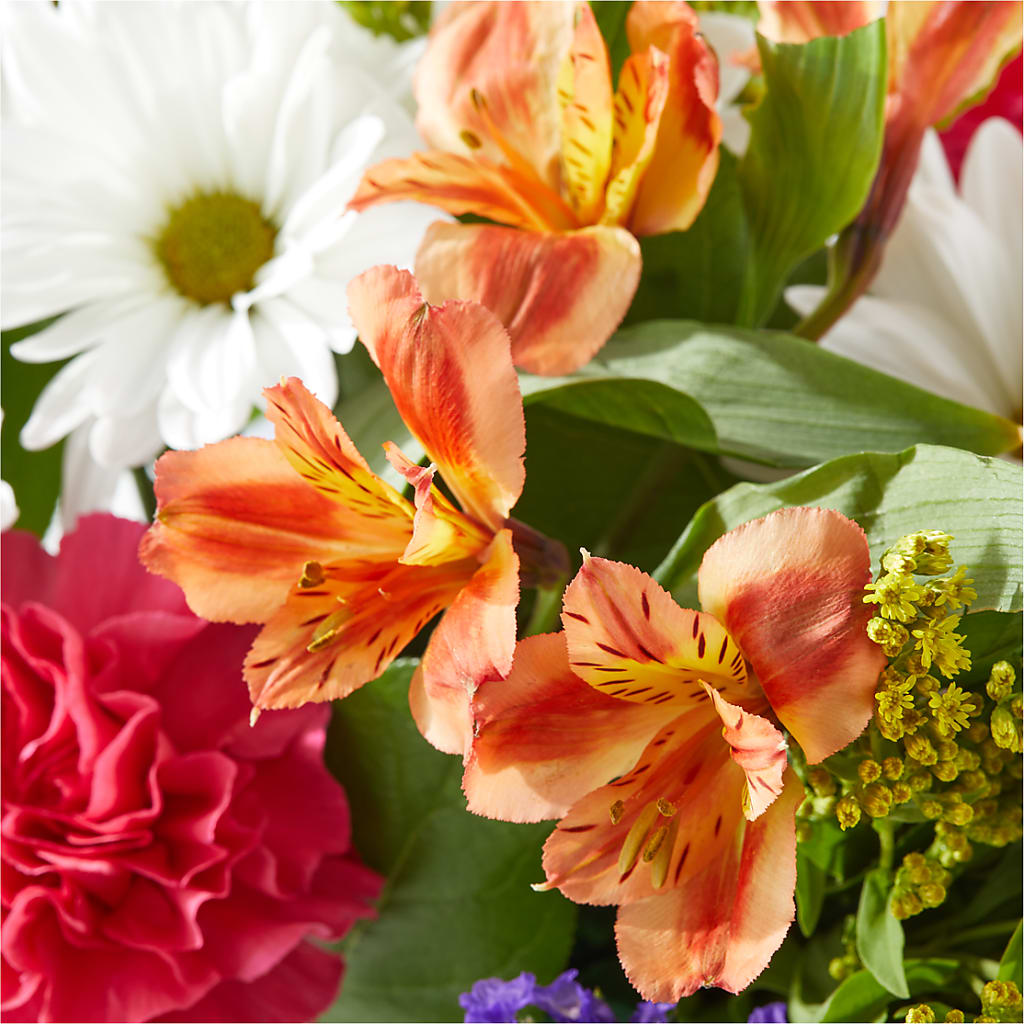 Oopsie Daisy Box Bouquet –  Flowers From The Heart Auburn, Auburn MI