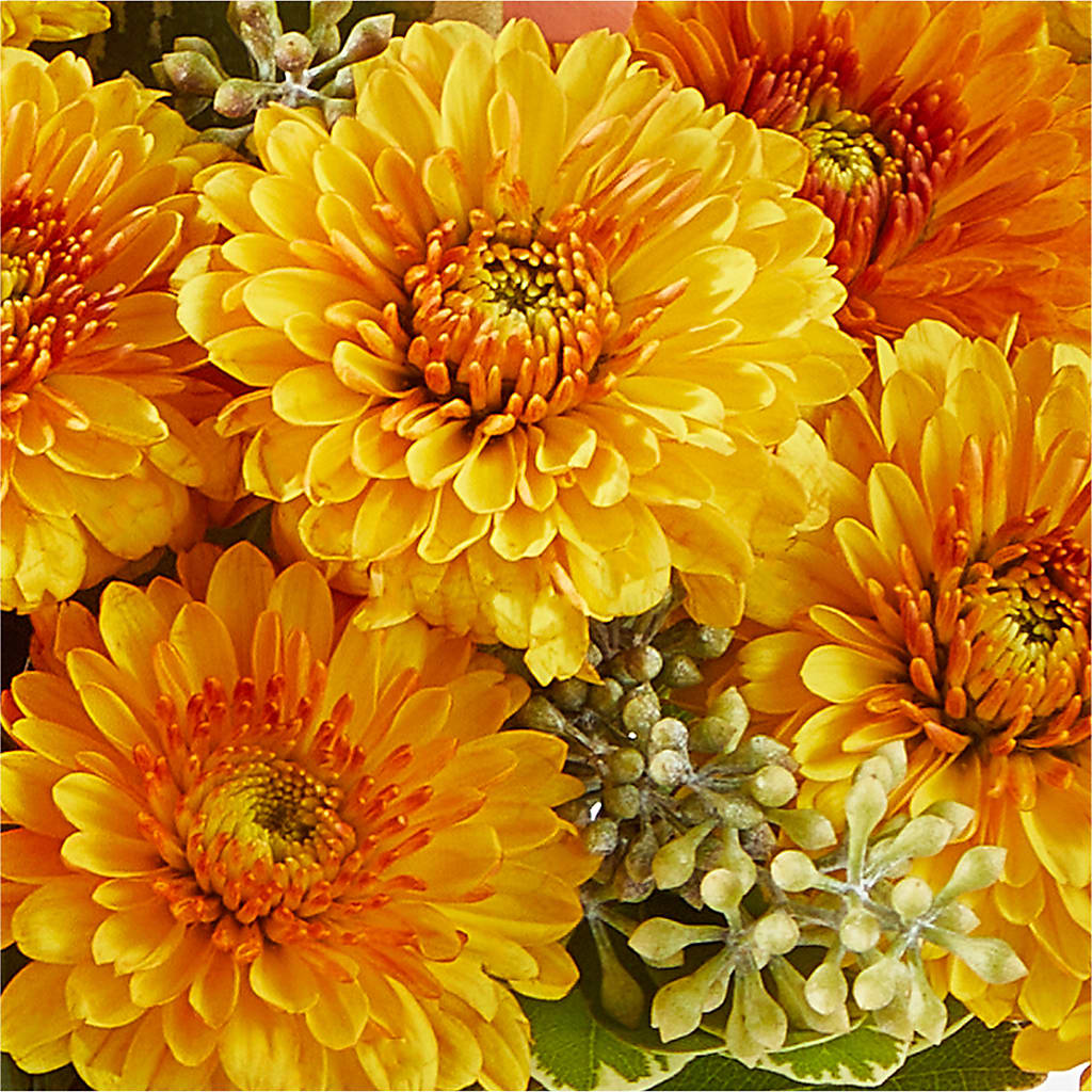 Peachy Pumpkin –  Flowers From The Heart Auburn, Auburn MI