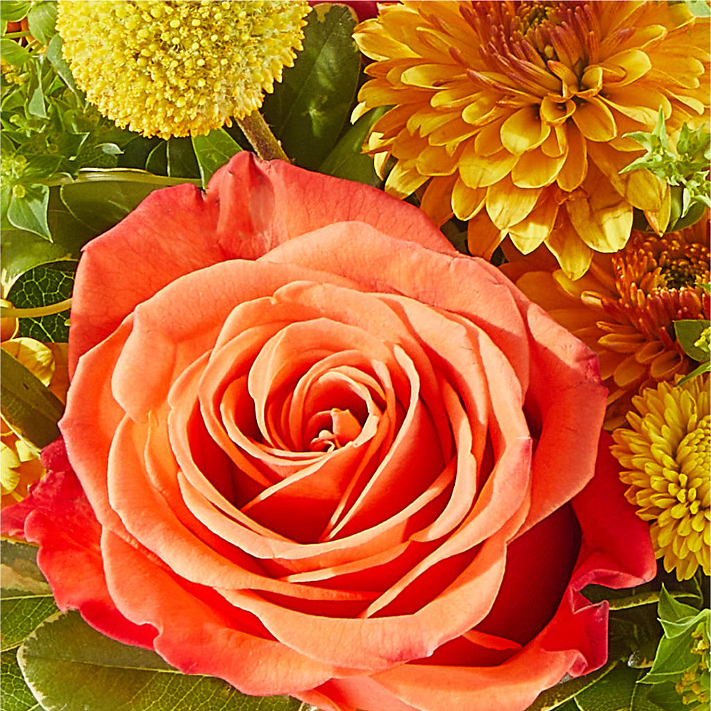 Gourdgeous Pumpkin –  Flowers From The Heart Auburn, Auburn MI
