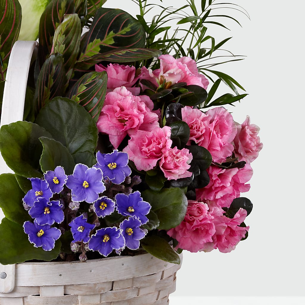 Peaceful Garden Planter –  Flowers From The Heart Auburn, Auburn MI