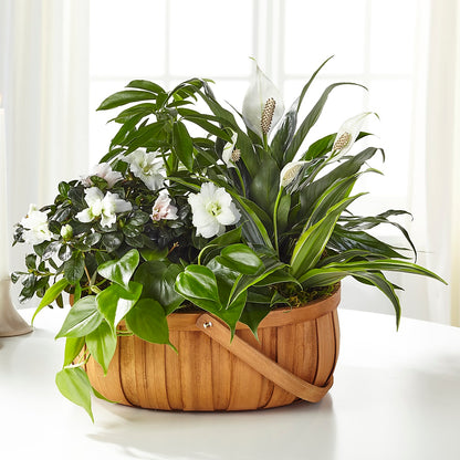 Serene Dishgarden –  Flowers From The Heart Auburn, Auburn MI