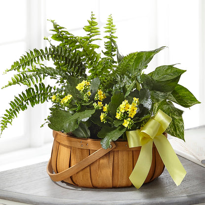 Always Dear Dishgarden –  Flowers From The Heart Auburn, Auburn MI