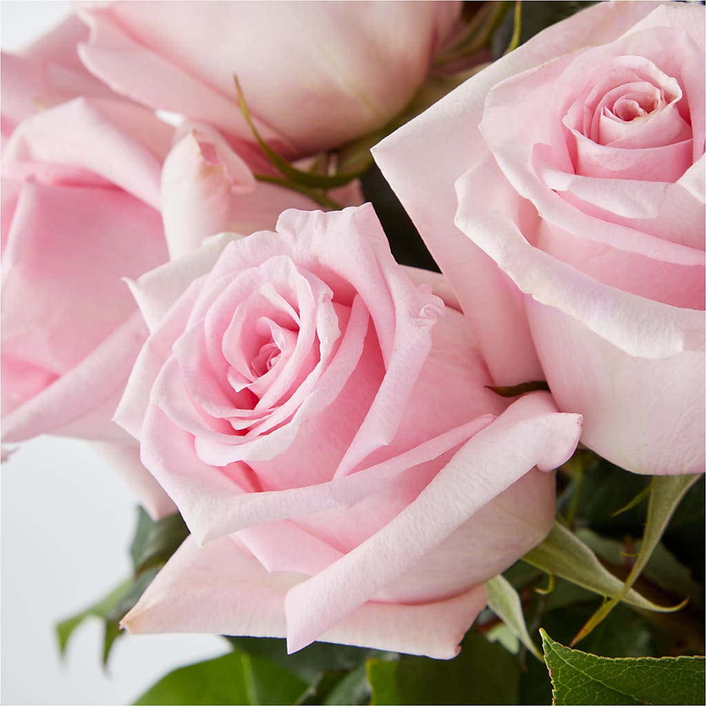Picture Perfect Pink Rose Bouquet –  Flowers From The Heart Auburn, Auburn MI