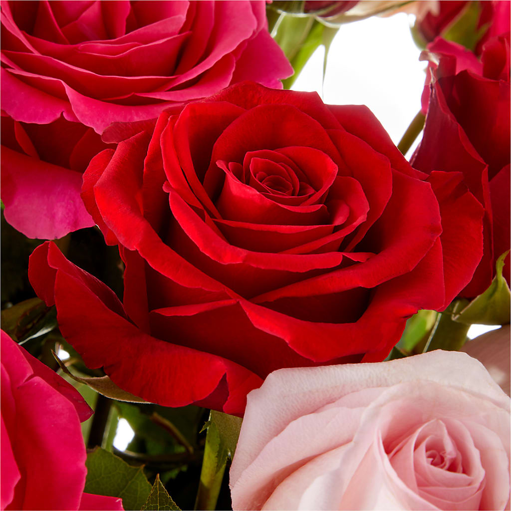 Love Notes Rose Bouquet –  Flowers From The Heart Auburn, Auburn MI