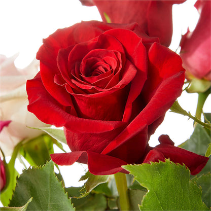 Love Notes Rose Bouquet –  Flowers From The Heart Auburn, Auburn MI