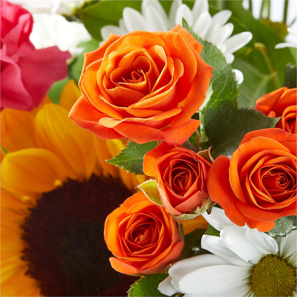 Sun-drenched Blooms Bouquet –  Flowers From The Heart Auburn, Auburn MI