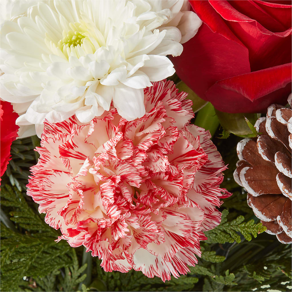 Candy Cane Lane Bouquet –  Flowers From The Heart Auburn, Auburn MI