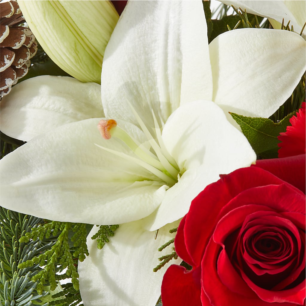 Oh So Jolly Bouquet –  Flowers From The Heart Auburn, Auburn MI