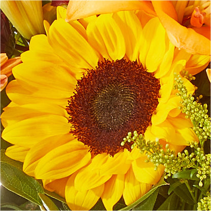 Seasons Change Bouquet –  Flowers From The Heart Auburn, Auburn MI