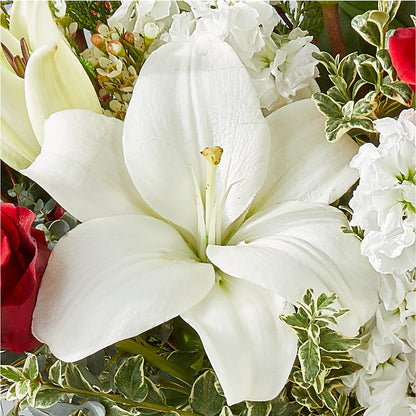 Twinkle Lights Bouquet –  Flowers From The Heart Auburn, Auburn MI
