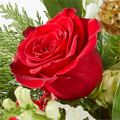 Deck the Halls Bouquet –  Flowers From The Heart Auburn, Auburn MI