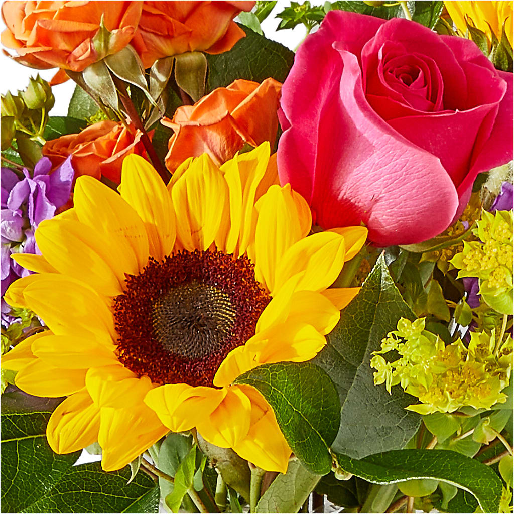 Vibrant Greetings Bouquet –  Flowers From The Heart Auburn, Auburn MI