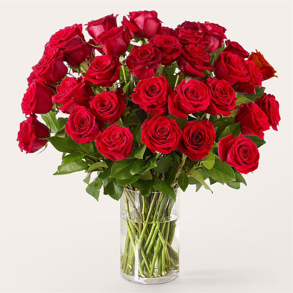 The One Red Rose Bouquet –  Flowers From The Heart Auburn, Auburn MI
