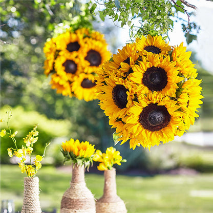 Sublime Garden Hanging Arrangement –  Flowers From The Heart Auburn, Auburn MI