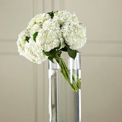 White Hydrangea Hand-Tied Bouquet –  Flowers From The Heart Auburn, Auburn MI