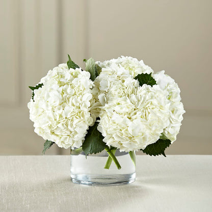 White Hydrangea Bouquet –  Flowers From The Heart Auburn, Auburn MI
